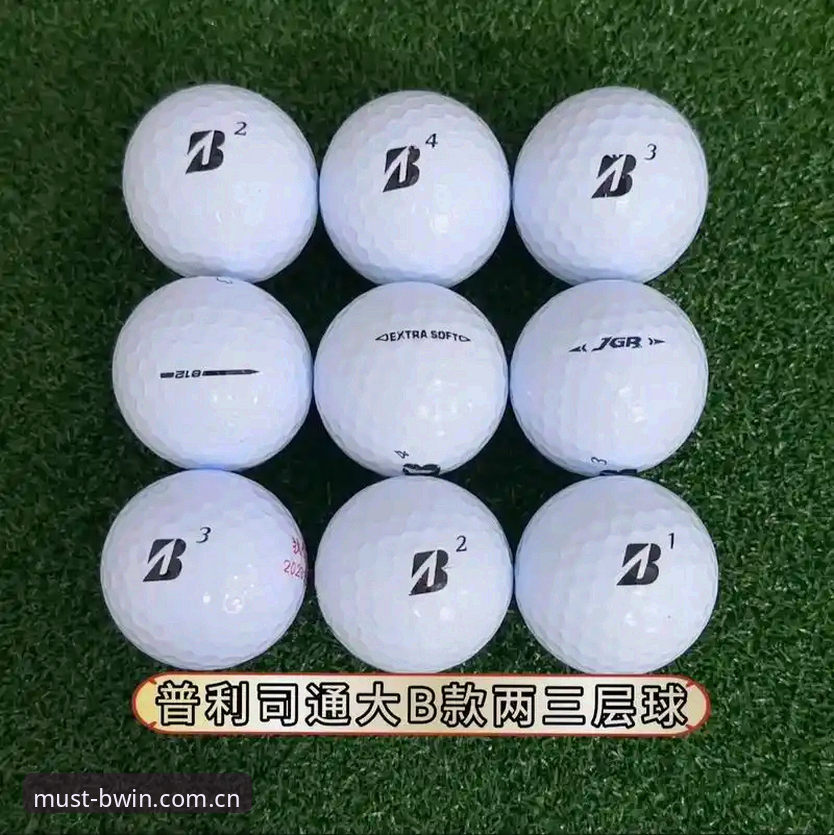 深度评测：BWIN必赢体育平台使用技巧全解析——从入口到实战的多维洞察