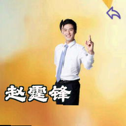 赵霆锋